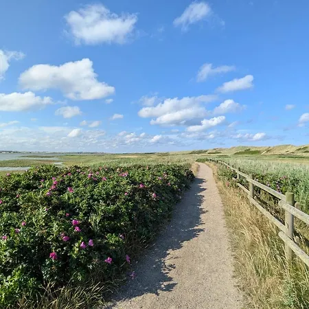 5 Person In Harboore Harboør