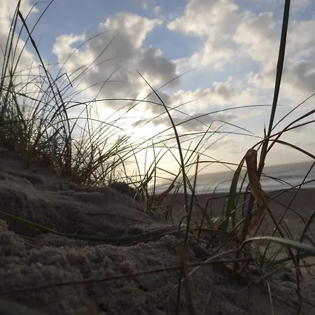 Ferienhaus 5 Person In Harboore *