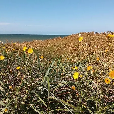5 Person In Harboore Ferienhaus Harboør