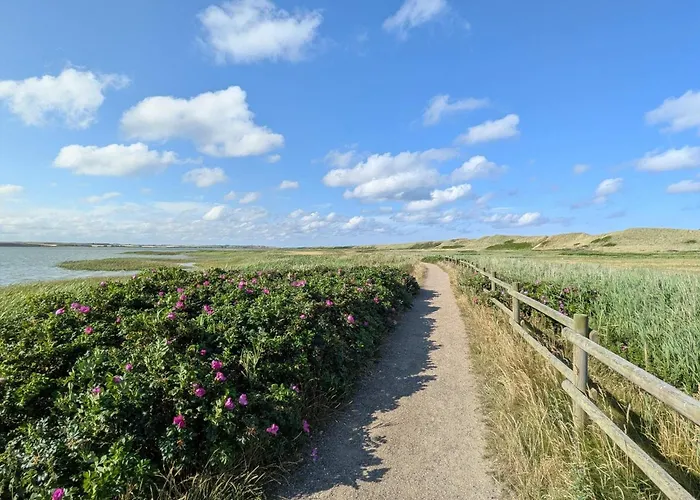 5 Person In Harboore Harboør